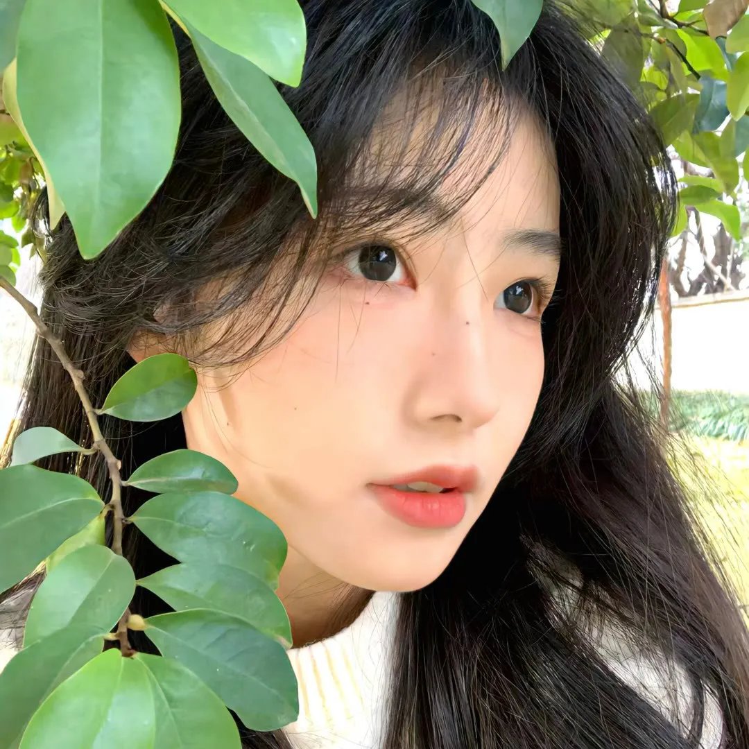 唐人街女人帮